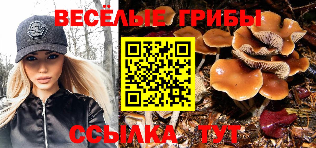 Славянск-на-Кубани  Галлюциногенные грибы MAGIC MUSHROOMS  Вход с VPN  Галлюциногенные грибы мухоморы 